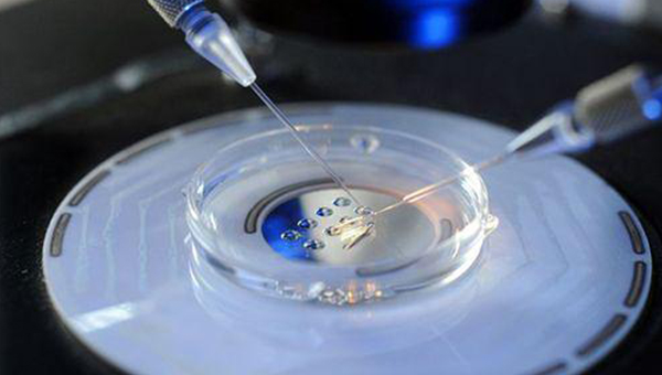 女性早期妊娠信号解读：怀孕初期症状解析